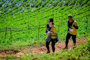 BIB: 
                            <button type="button" onclick="openModal(19164153)" class="btn btn-primary btn-sm float-right btn-popup" data-toggle="modal" data-target=".modal-high-quality">
                        <i class="fas fa-shopping-cart"></i> Add to Cart
                    </button>
                                            <button type="button" onclick="isThisMe(19164153, true)" class="btn btn-success btn-sm float-right btn-popup btn-isme hidden" data-toggle="tooltip" data-placement="bottom" title="นี่คือรูปของคุณใช่ไหม คลิกที่นี่เพื่อเอาเข้าอัลบั้ม">
                        <i class="fas fa-plus"></i> Add to album
                    </button>
                    <button type="button" onclick="isThisMe(19164153, false)" class="btn btn-warning btn-sm float-right btn-popup btn-isnotme hidden">
                        <i class="fas fa-ban"></i> Remove from album
                    </button>